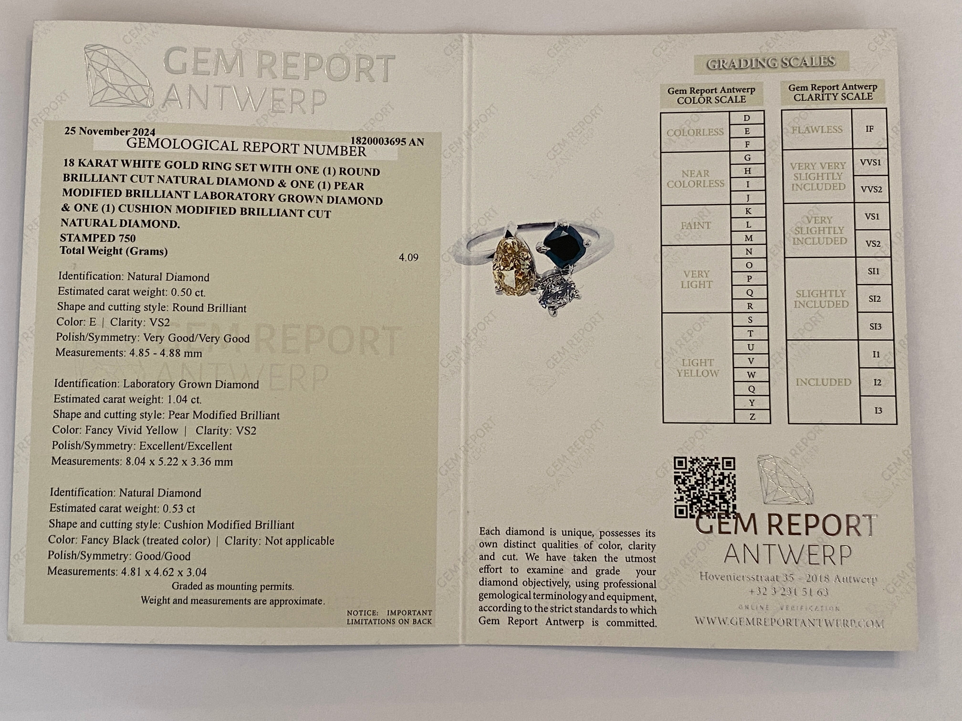 Exquisite 18K White Gold Engagement Ring – A Masterpiece of Contrast & Brilliance